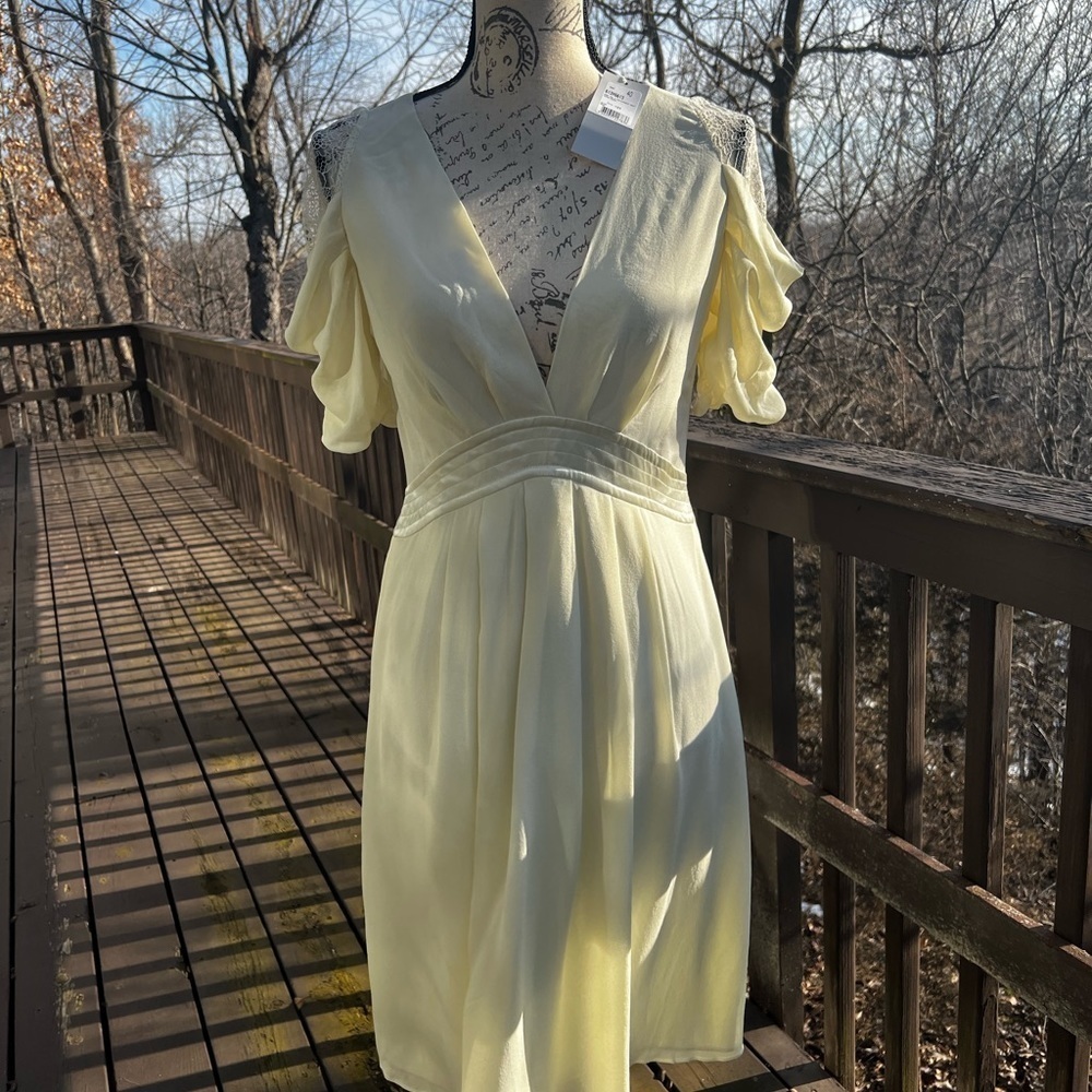 Vanessa Bruno 100% silk cream color dress EU size 40/US size 8, new with tags - Picture 4 of 13